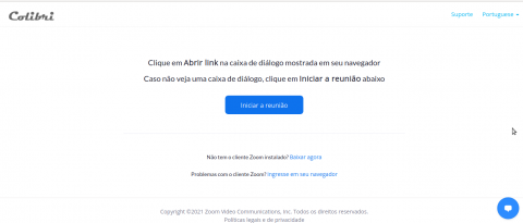 PrintScreen do topo do site Zoom